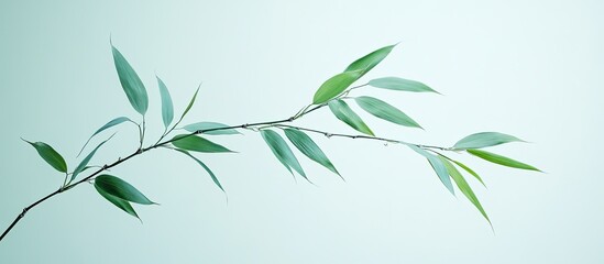 Fresh Green Leaves on a Branch Against a Minimalist Blue Background, Nature Concept