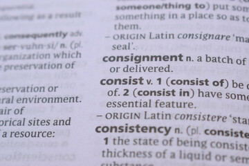Detail Of English Dictionary Page And Word Explanation Of -  consist