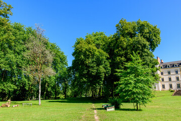A spacious grassy park in Saint-Honore-les-Bains features leafy trees, a few benches, and part of a classic cream-colored building under a vivid blue sky.
