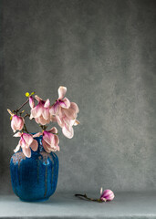 Pink magnolia flowers arranged in blue vase on gray background, with single blossom lying beside it. Copy space for text. Elegant floral still life, minimalist spring decor © Alexander