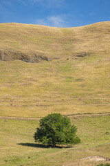 ニュージーランド　ホークス・ベイ地方にあるペカペカ・リージョナルパークから見える丘