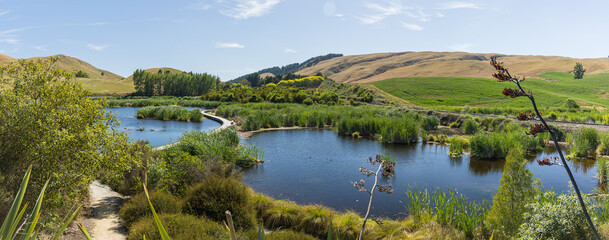 ニュージーランド　ホークス・ベイ地方にある湿地保護区のペカペカ・リージョナルパーク