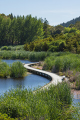 ニュージーランド　ホークス・ベイ地方にある湿地保護区のペカペカ・リージョナルパーク