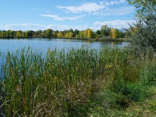 Lakeside with Early Fall Foliage and Calm Water in Colorado