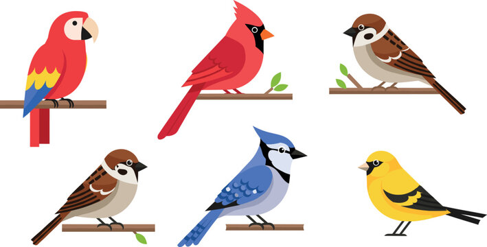 Cartoon birds sitting on branches vector set with parrot, cardinal, sparrow and blue jay