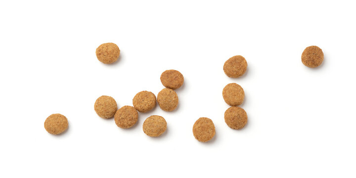 Dry pet food isolated on a white background