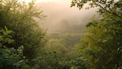 Peaceful Green Nature Scene