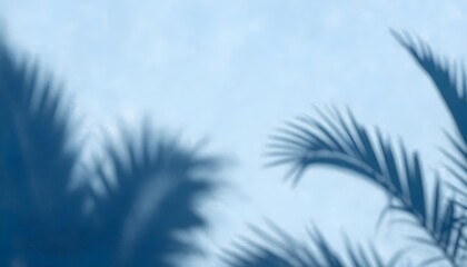 Soft blue background with blurred palm leaf shadows creating a serene and tropical atmosphere