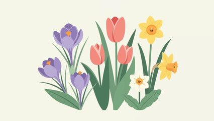 Spring Flower Medley Crocuses Tulips and Daffodils in Bloom.