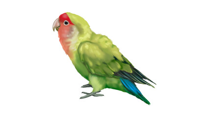Obraz premium Colorful Green Lovebird Parrot Perching Watercolor Art