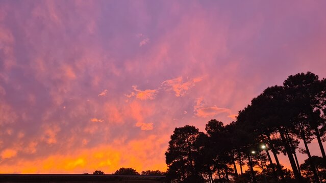 Magnifique coucher de soleil rose quelque part sur la presqu'&icirc;le du Cap Ferret (Aquitaine, France)