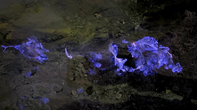 The blue flame of Kava-Ijen volcano burns on the dark earth, creating a stunning display of sulfuric gases at night. Java, Indonesia. Close-up of the famous blue flame phenomenon in the crater of Ijen