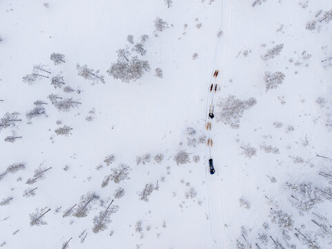 Aerial view of a dogsled team dashes through the stark white snow, a dark silhouette against the pale landscape, Pudasjarvi, Finland.