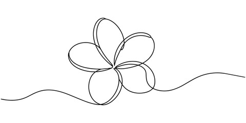Plumeria flowers in continuous line art drawing style. Minimalist black line sketch on white background, Plumeria flowers in continuous one line art drawing. Frangipani blossom. Vector illustration.