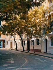 A quiet urban street with a curved asphalt road and a white directional arrow painted on the...