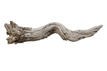 Weathered driftwood branch displaying rough texture and natural gnarled shape on transparent background