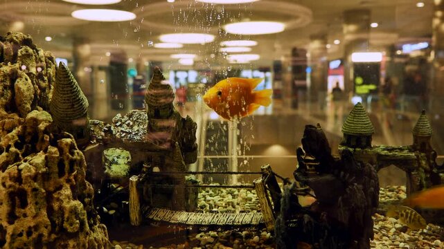 Colorful fish swimming in a large aquarium with castle decorations in a shopping mall