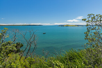 ニュージーランド　オークランドのセントヘリアーズにあるアキレスポイントからのブラウンズ・アイランド