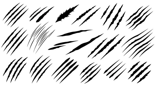 Collection of various black claw marks and scratches on a white background, representing damage and aggression.