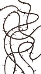 Thorn vines background. Wild prickly vines isolated. 3D rendering