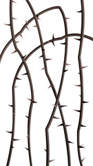 Thorn vines background for stories. Wild prickly vines isolated