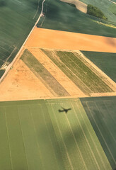 air flight view on the field  in the morning