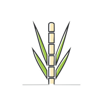 Simple Sugar Cane Stalk with Green Leaves Minimalist Graphic Illustration