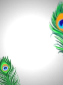 peacock feather background