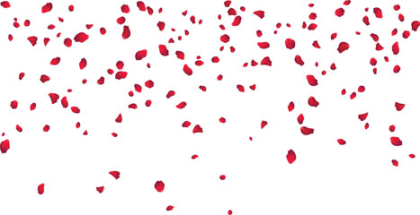 Scattered pink rose petals background for beauty products and spa branding