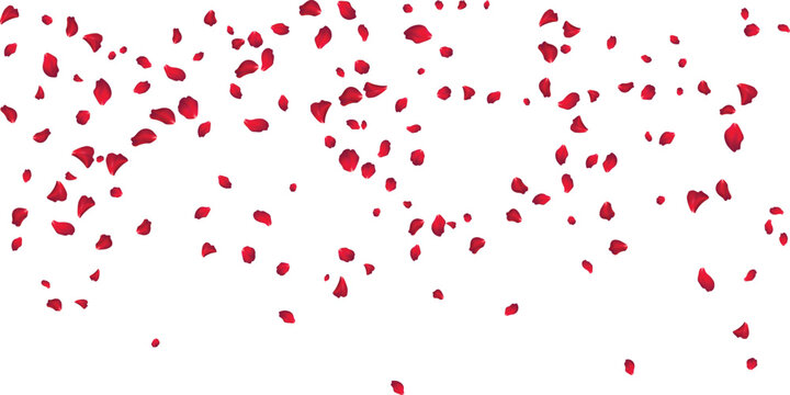 Soft floating rose petals background for Mothers Day cards and spring marketing