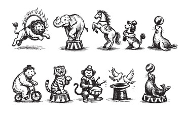 A vintage-style illustration featuring various circus animals, including a lion jumping through fire, elephant, horse, bear, tiger, monkey, dog and seals, all in black and white.