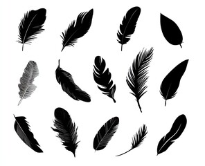 Black feather illustrations arranged on white background. Different shapes and sizes