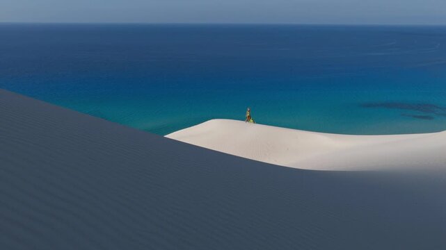 Aerial View of White Sand Dunes Meeting the Blue Ocean on Socotra Island, Yemen - Extra