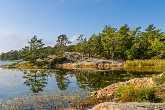 Stendorren nature reserve at west coast of Sweden