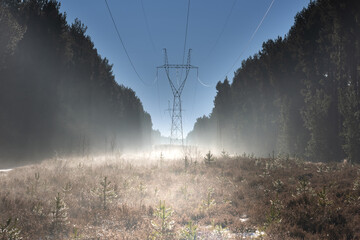Elektryczna linia wysokiego napięcia w sosnowym lesie. Po obu stronach linii jest wysoki sosnowy las. Pod linią są wrzosowiska i niskie samosiejki nad kt&oacute;rymi unosi się mgła.