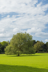 ニュージーランド　オークランドのワン・ツリー・ヒル内にあるコーンウォールパークの風景