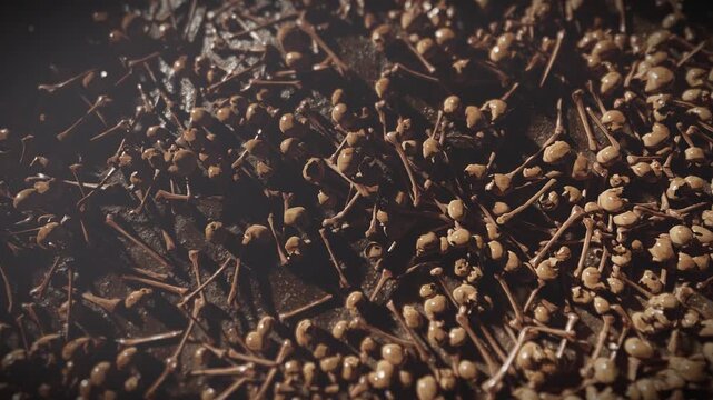 Skulls And Bones Field 3d Video Animation