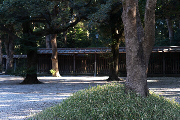 日本の神社：神聖な森林と建築物と参道（神宮・鳥居）