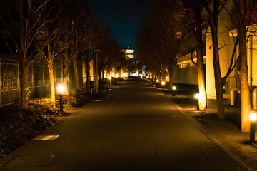 綺麗なライトアップが続く夜道