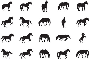 Fototapeta premium Collection of horse silhouettes in various poses and movements on white background