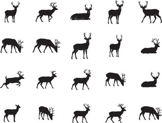 Fototapeta premium Silhouette of deer in various poses on white background for design and decoration