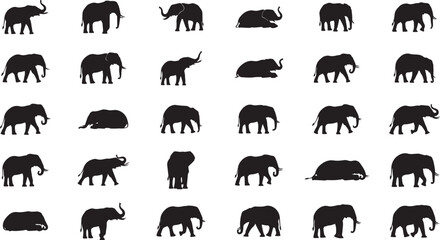 Obraz premium Collection of elephant silhouettes in various poses and perspectives on white background