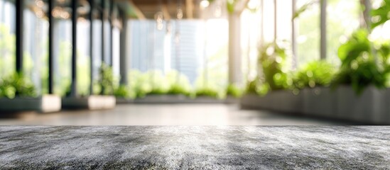Textured stone surface in sunlit modern interior with lush greenery