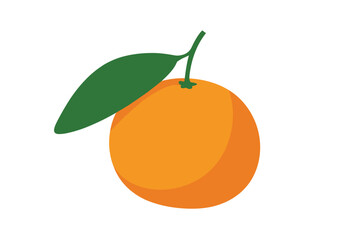 A vibrant orange with a green leaf on a white background