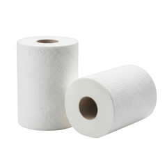 Fototapeta premium 3d rendered paper towel rolls