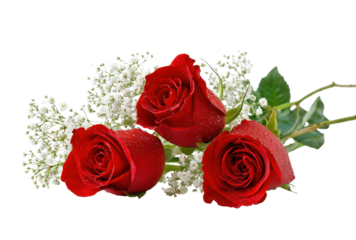 Three red roses are arranged in a bouquet with white flowers