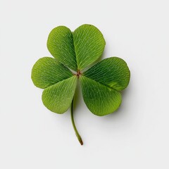Vibrant Four-Leaf Clover on White Background