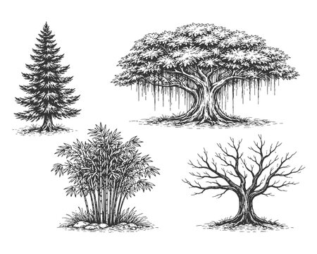 Comprehensive hand drawn line art vector illustration set of diverse trees including evergreen fir spreading banyan bamboo and a leafless winter tree.