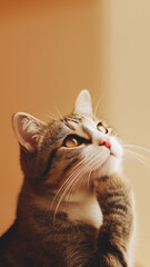 Obraz premium cat-meme_978sp