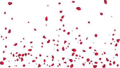 Red rose petal rain illustration for luxury perfume packaging